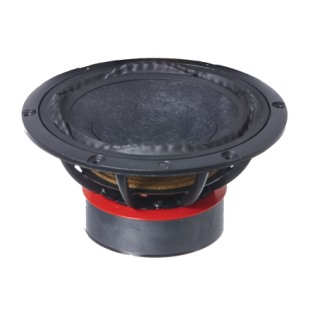 Purifi PTT6.5M04-NFA-01