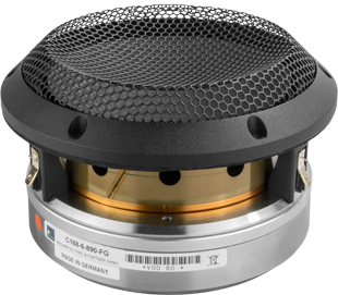 Accuton C168-6-890-FG 