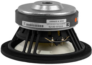 Accuton C173-11-191-FG 