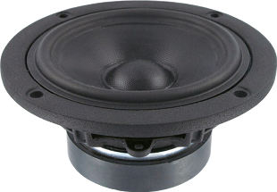 ScanSpeak 12W/4524G00