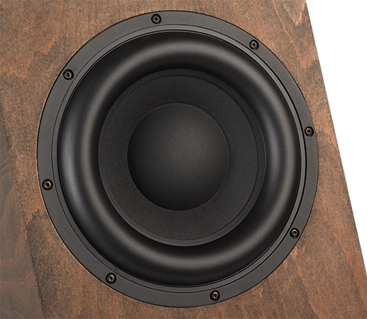 Galerie d'images Timbo-X Bass, Image d&eacute;taill&eacute;e 5